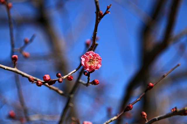 a0242438_1911638.jpg