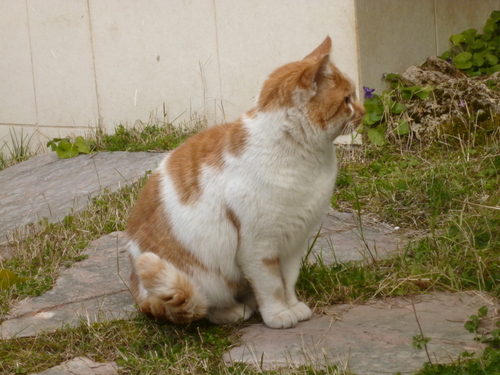 d0170140_1804269.jpg