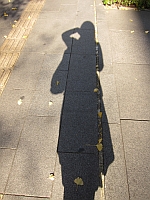 e0080345_826669.jpg