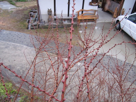 b0132746_1322934.jpg
