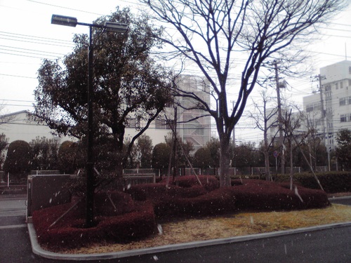 f0057955_2317314.jpg
