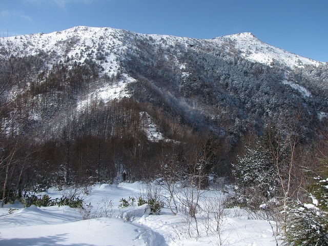 a0191674_1453227.jpg