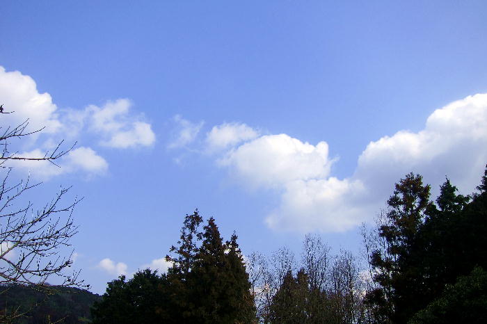 b0171185_16103711.jpg