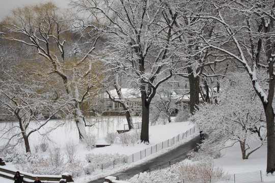 b0147090_1701717.jpg