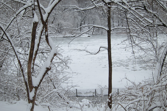 b0147090_1703349.jpg