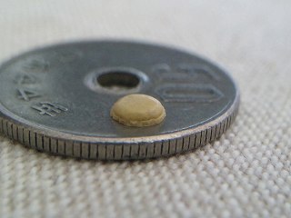 b0185290_23242228.jpg