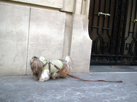 c0090198_2565278.jpg