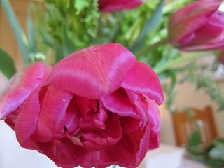 c0152002_182041.jpg