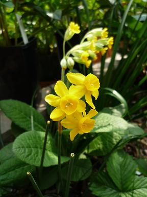 e0234004_20135274.jpg
