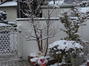c0132205_21315932.jpg