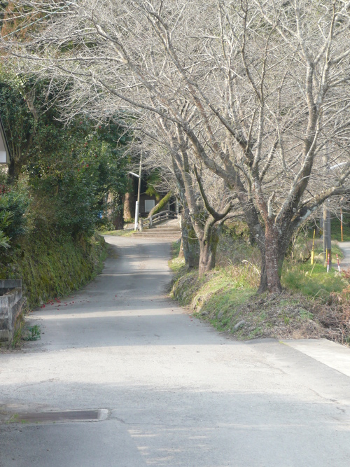 f0204110_1084663.jpg