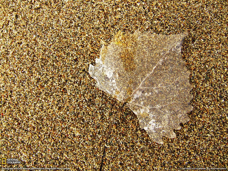 b0150018_20255373.jpg