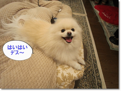 b0167519_1091352.gif