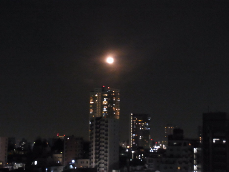 f0108825_1657434.jpg
