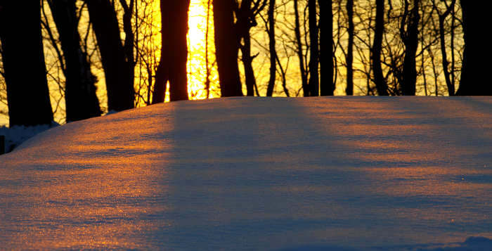 b0244728_12343341.jpg