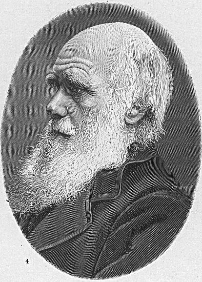 c0160228_11272427.jpg