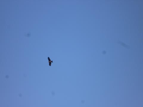 b0138430_936338.jpg