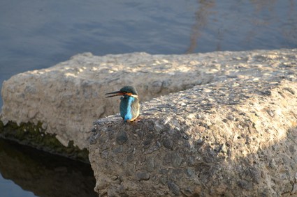 e0228938_9423233.jpg