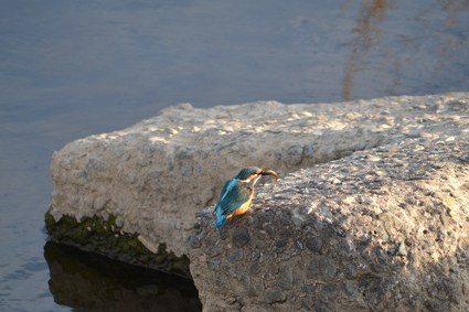 e0228938_9453328.jpg