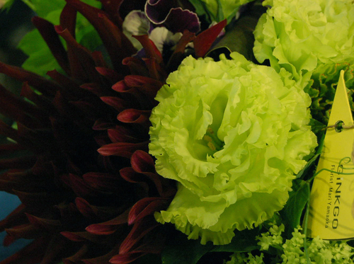 a0060141_178460.jpg