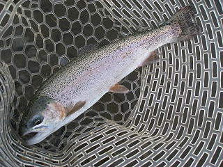 f0065341_1246020.jpg