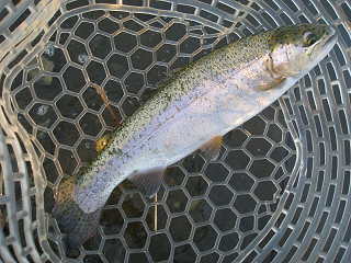 f0065341_1246172.jpg