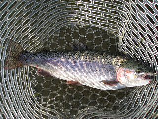 f0065341_12465111.jpg