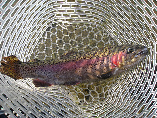 f0065341_1248364.jpg
