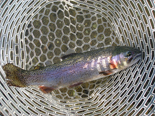f0065341_12492144.jpg