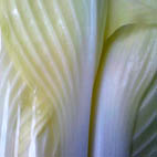 c0084954_2265459.jpg