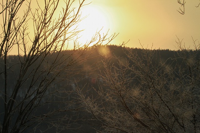 f0000866_9391349.jpg