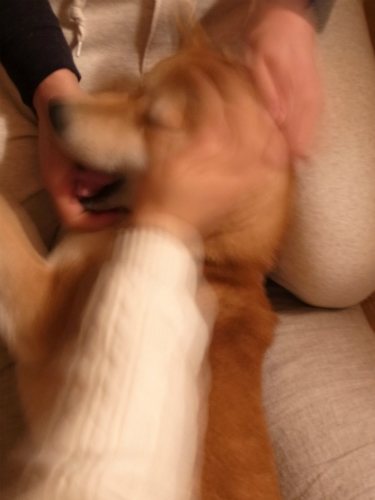 f0214771_11555232.jpg