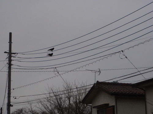 f0224772_0185341.jpg