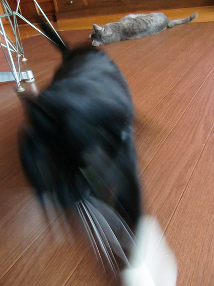 c0226874_13251133.jpg
