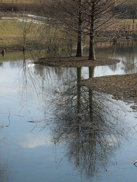 a0147281_123441100.jpg