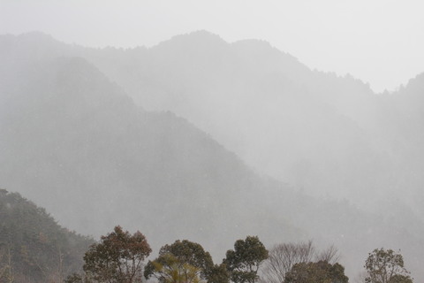 e0024081_2043037.jpg