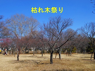 e0121589_1755241.jpg