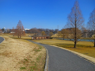 e0121589_17593617.jpg