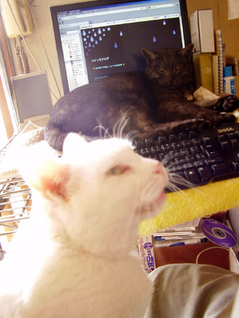 c0206596_22205860.jpg