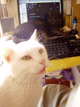 c0206596_22223840.jpg