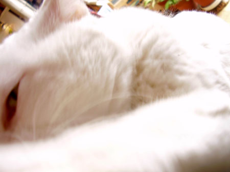 c0206596_22311221.jpg