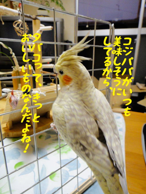 b0240299_22201084.jpg