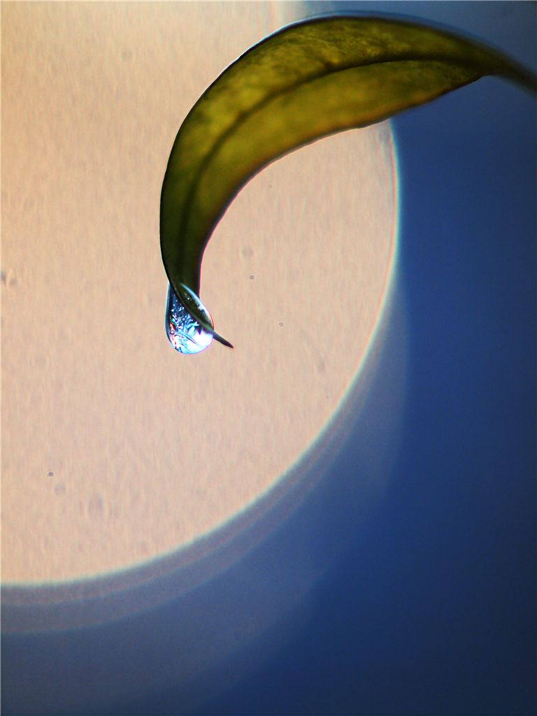 f0224100_8421068.jpg