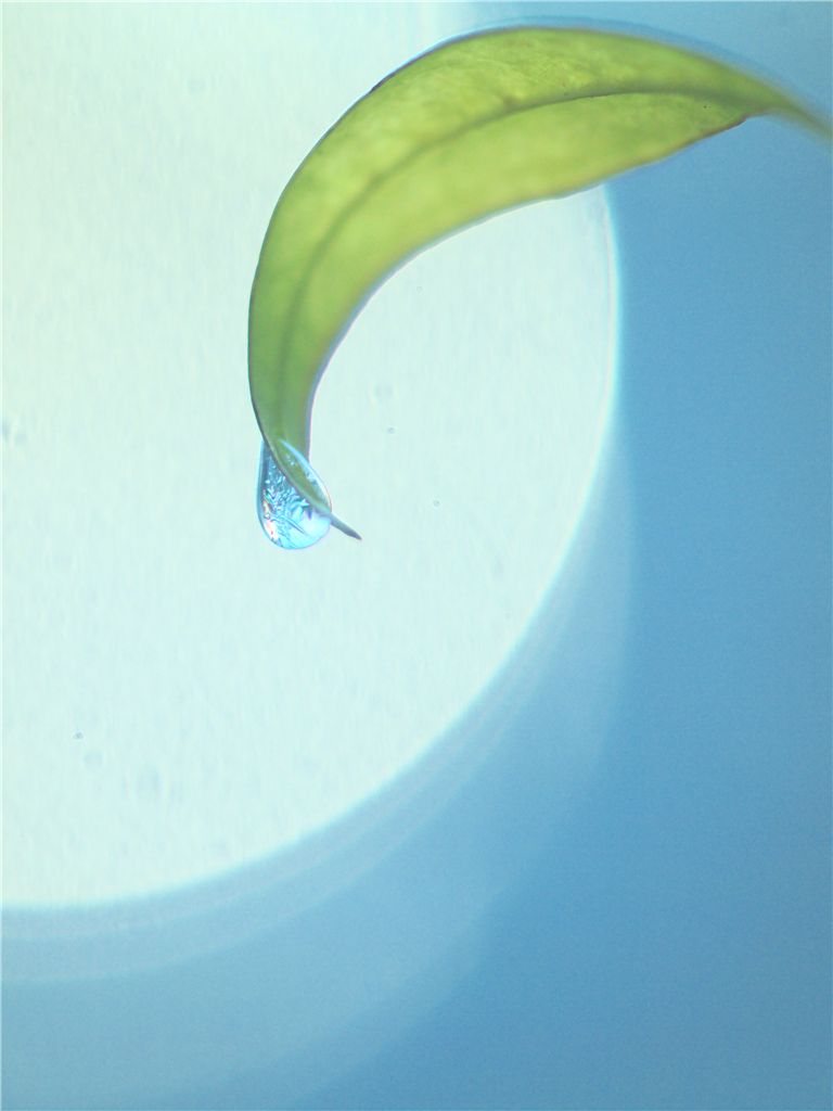 f0224100_8424762.jpg