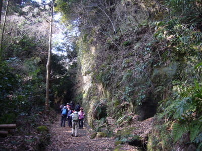 c0051105_23492918.png