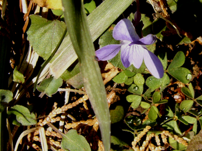 c0051105_23573894.png
