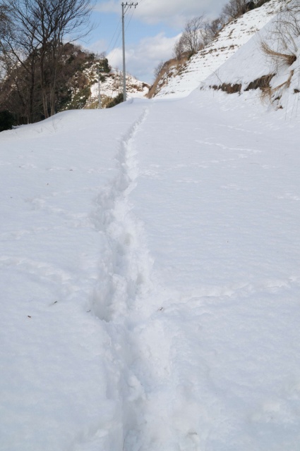 e0005714_2222517.jpg