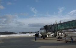 c0094218_985210.jpg