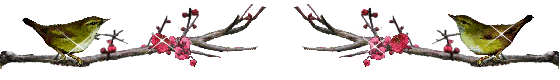 a0098027_16501696.gif