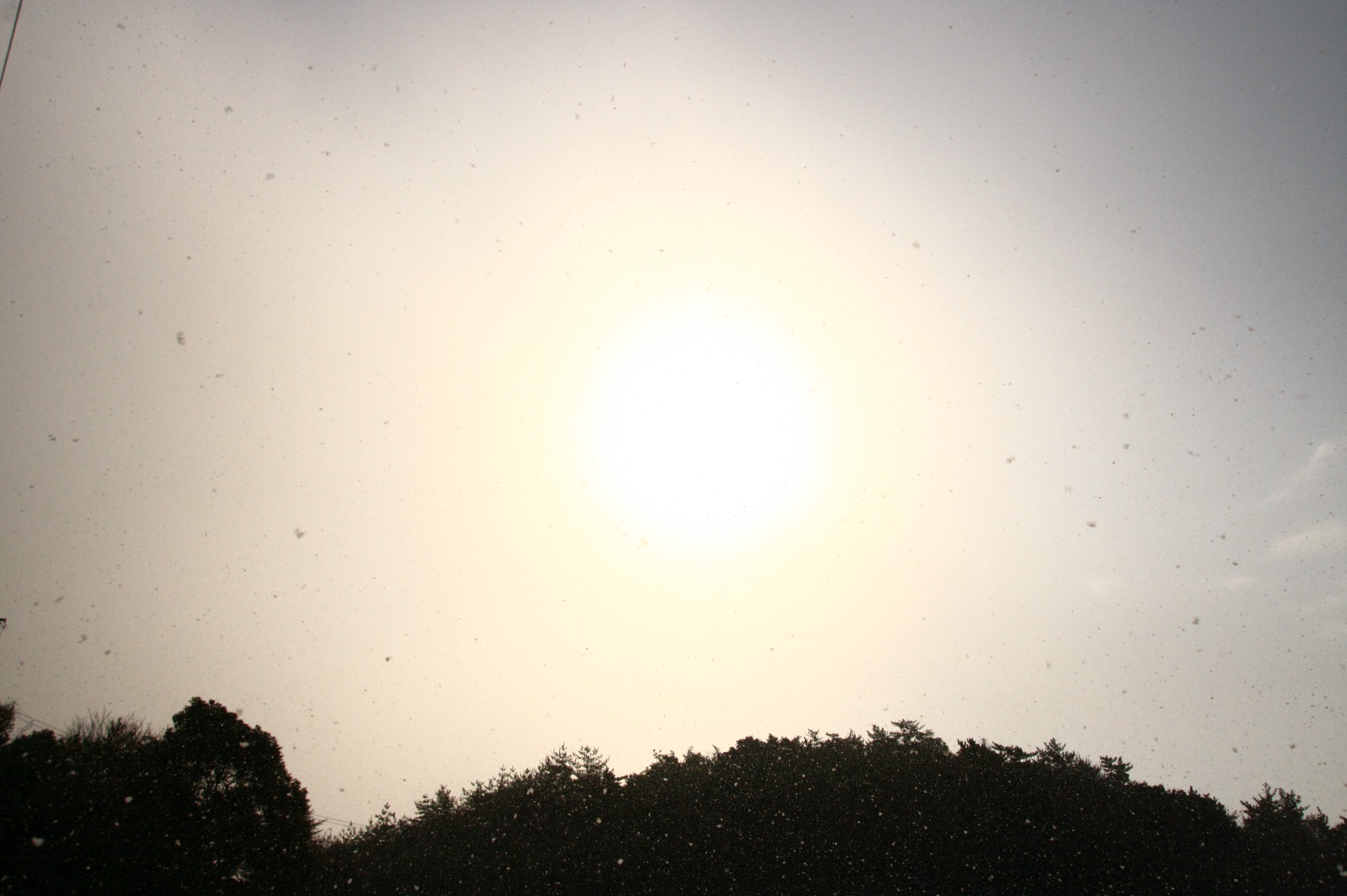 d0158028_1833185.jpg